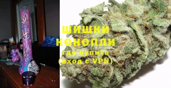 шишки Новокубанск