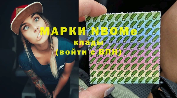 тгк Новодвинск