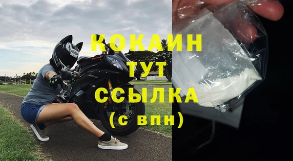 гидра Новозыбков